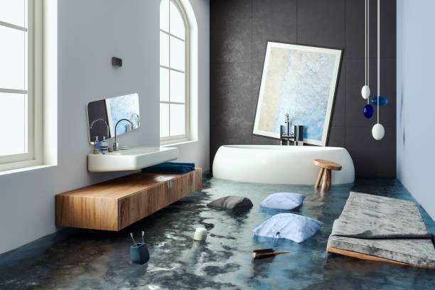 Best Mold removal after water damage  in Shepherdstown, WV