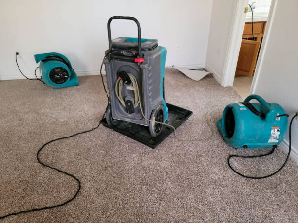Best Water damage cleanup near me  in Shepherdstown, WV