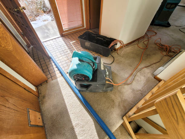 Best Fire Damage Restoration  in Shepherdstown, WV