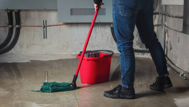 Best Mold removal after water damage  in Shepherdstown, WV