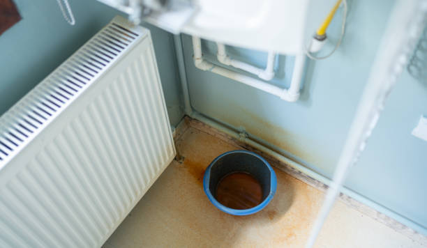 Best Carpet water damage restoration  in Shepherdstown, WV