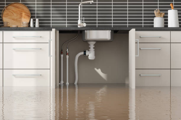 Best Basement water damage restoration  in Shepherdstown, WV