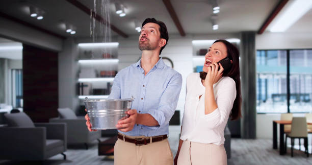 Best Flood restoration services  in Shepherdstown, WV