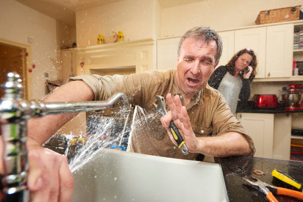 Best Water damage restoration near me  in Shepherdstown, WV